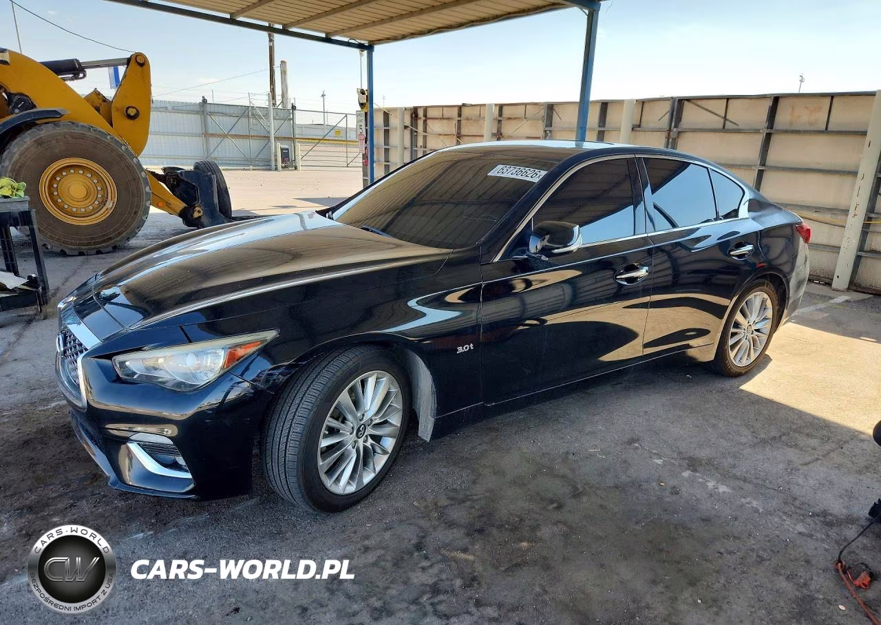 2019 Infiniti Q50 3.0T Luxe VIN:JN1EV7AP8KM518691 - 1