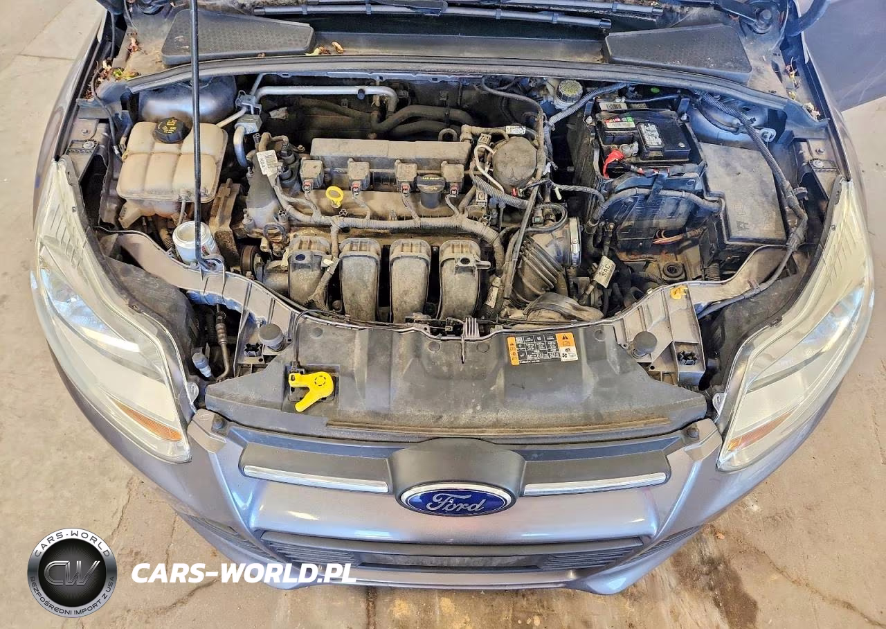 2014 Ford Focus Se VIN:1FADP3K28EL357533 - 12