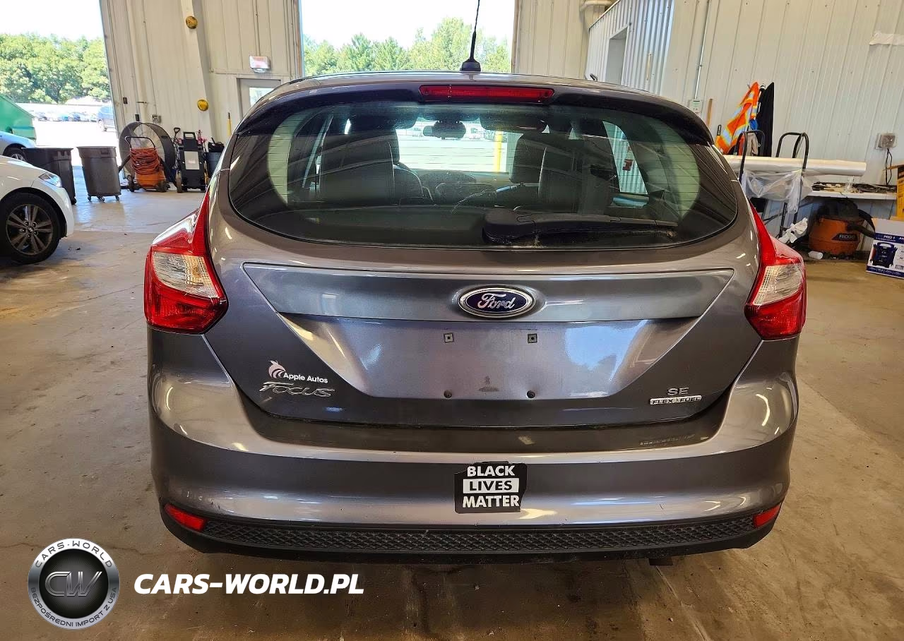 2014 Ford Focus Se VIN:1FADP3K28EL357533 - 6