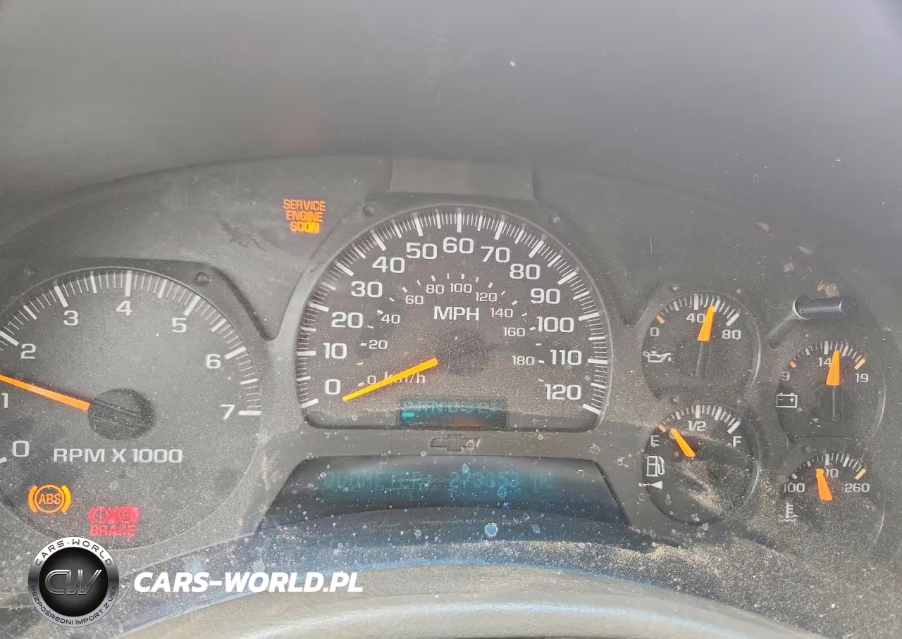 2003 Chevrolet Trailblazer VIN:1GNDS13SX32198231 - 9