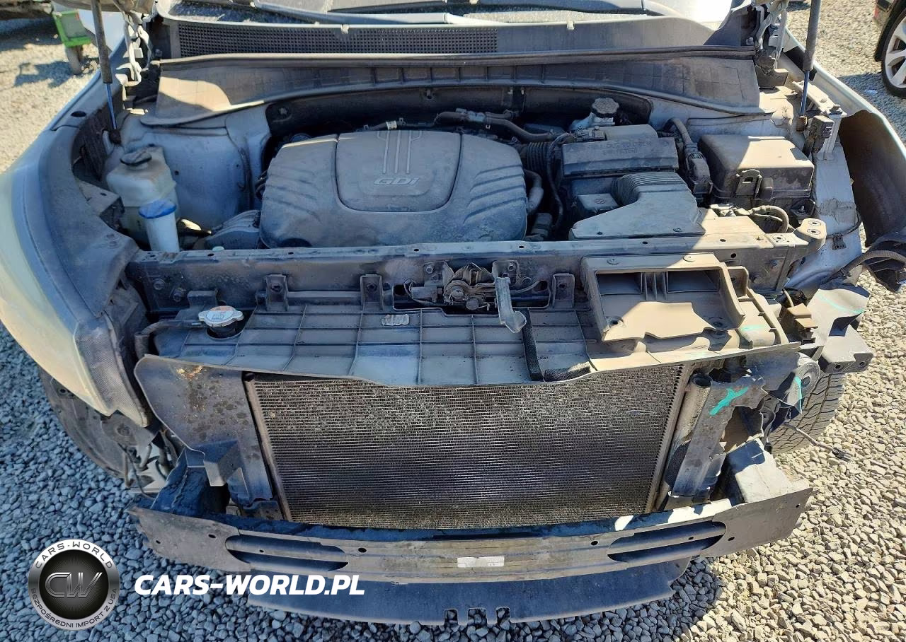 2017 Kia Sorento Lx V6 VIN:5XYPGDA5XHG234566 - 12