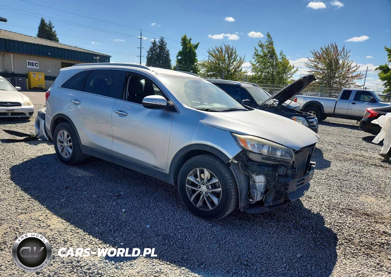 2017 Kia Sorento Lx V6 VIN:5XYPGDA5XHG234566 - 4