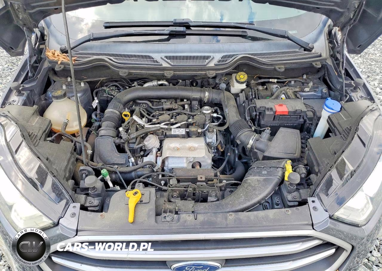 2018 Ford Ecosport Se VIN:MAJ3P1TE6JC172545 - 12