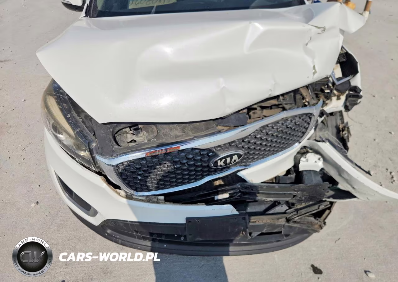 2018 Kia Sorento Lx VIN:5XYPG4A30JG386280 - 12
