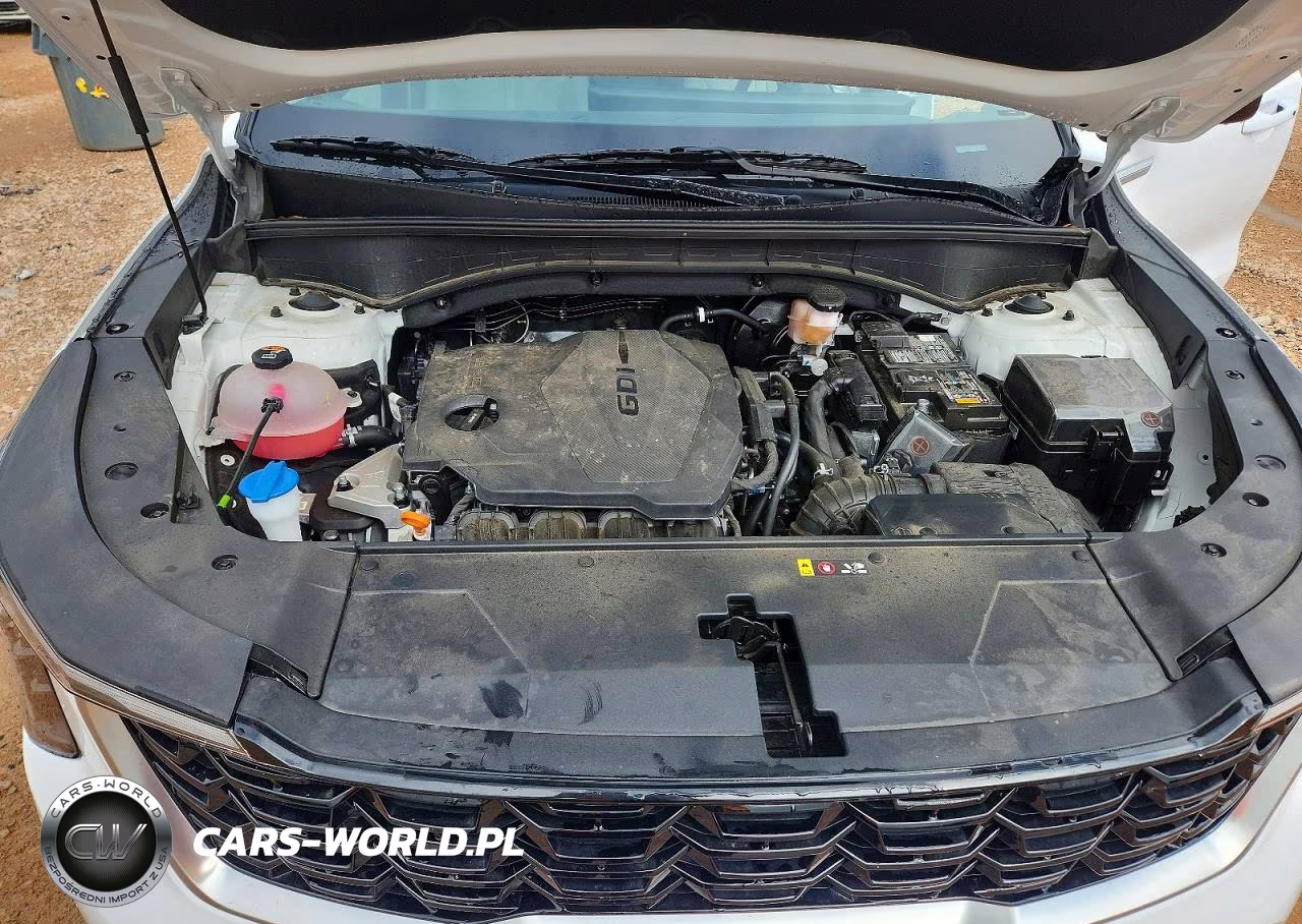 2025 Kia Sorento S VIN:5XYRL4JCXSG332877 - 12