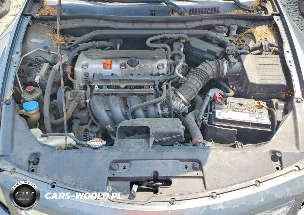 2010 Honda Accord Ex VIN:1HGCS1A71AA008002 - 12