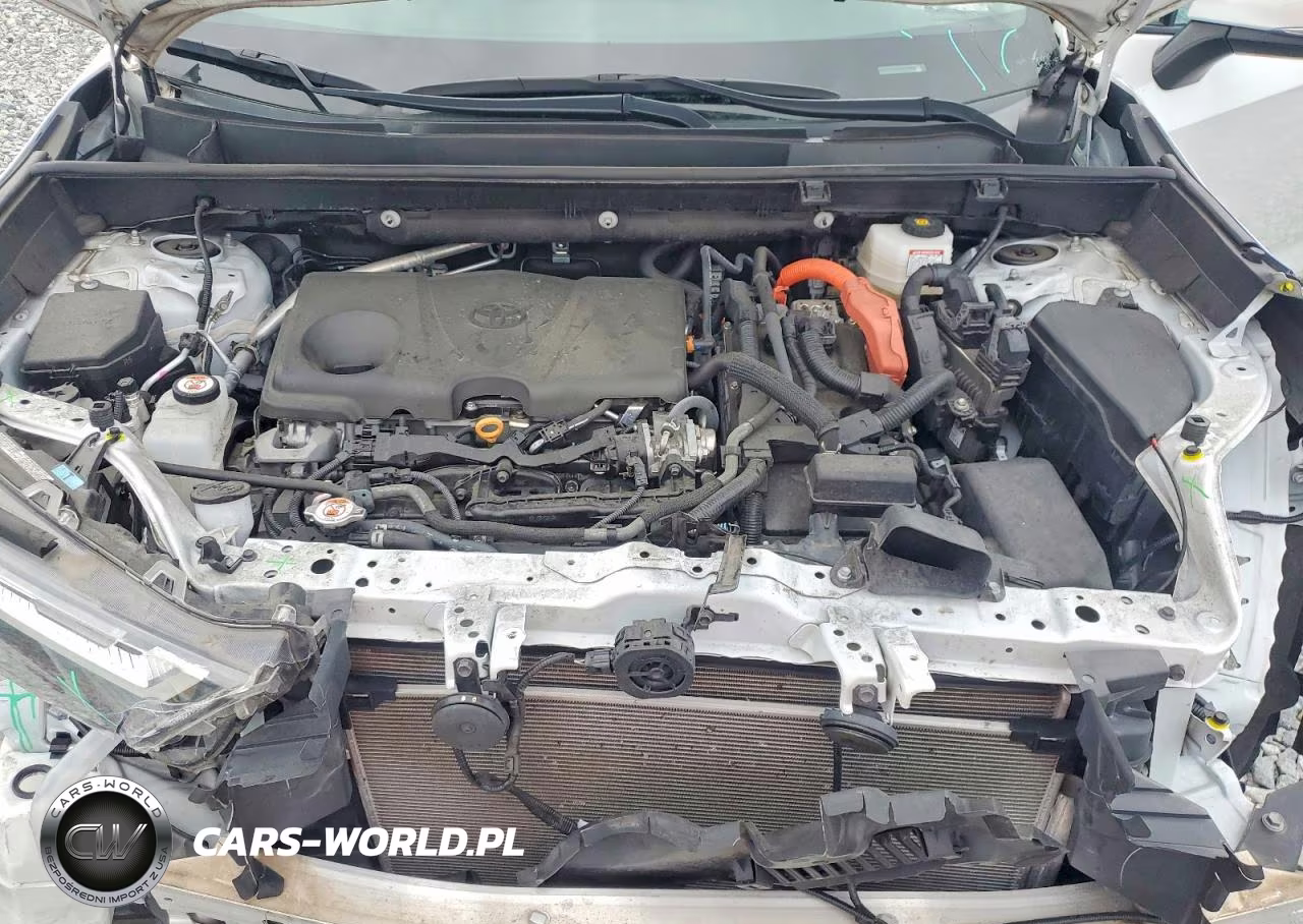 2023 Toyota Rav4 Xle Premium VIN:4T3B6RFV0PU115802 - 11