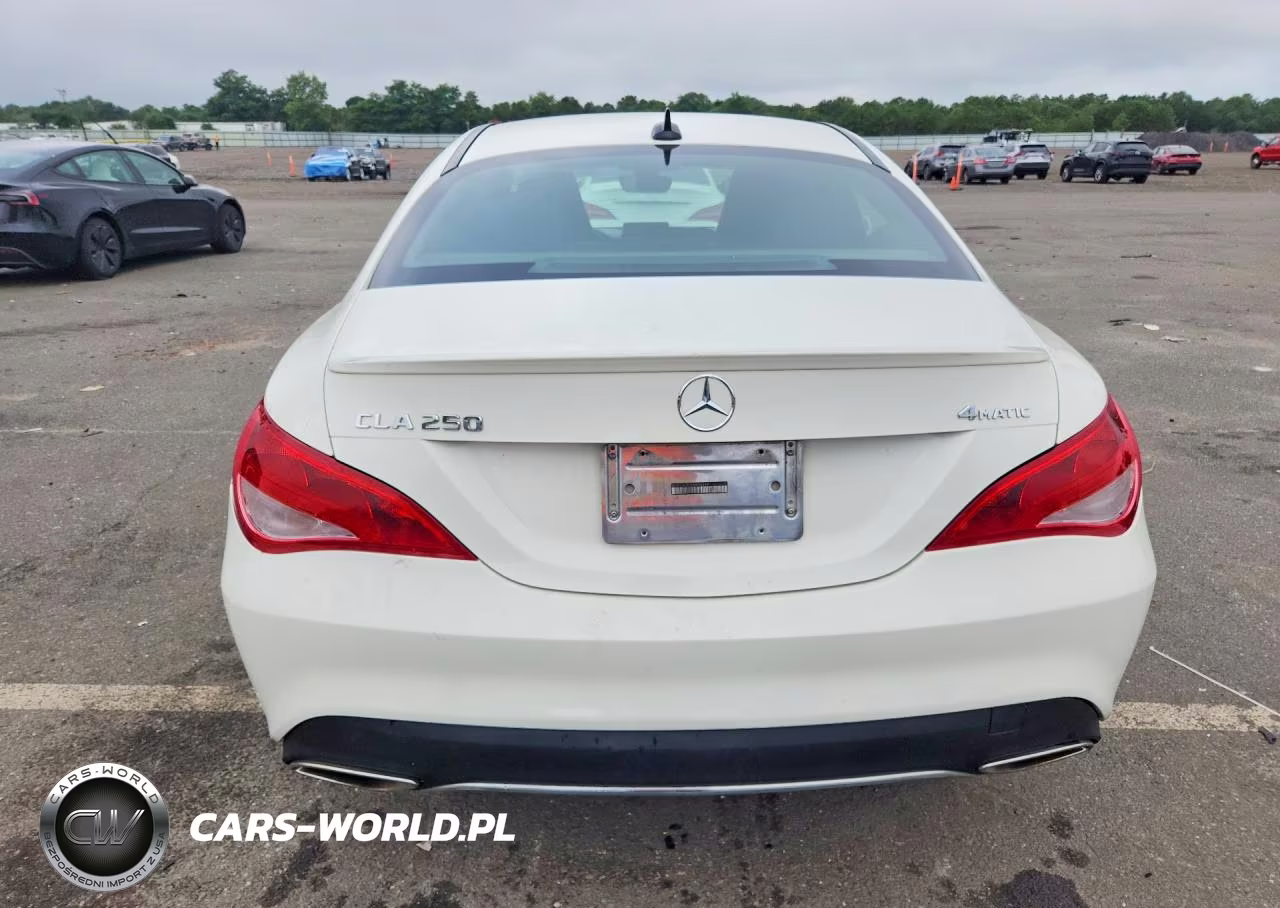 2017 Mercedes-Benz Cla 250 4Matic VIN:WDDSJ4GB3HN495299 - 6