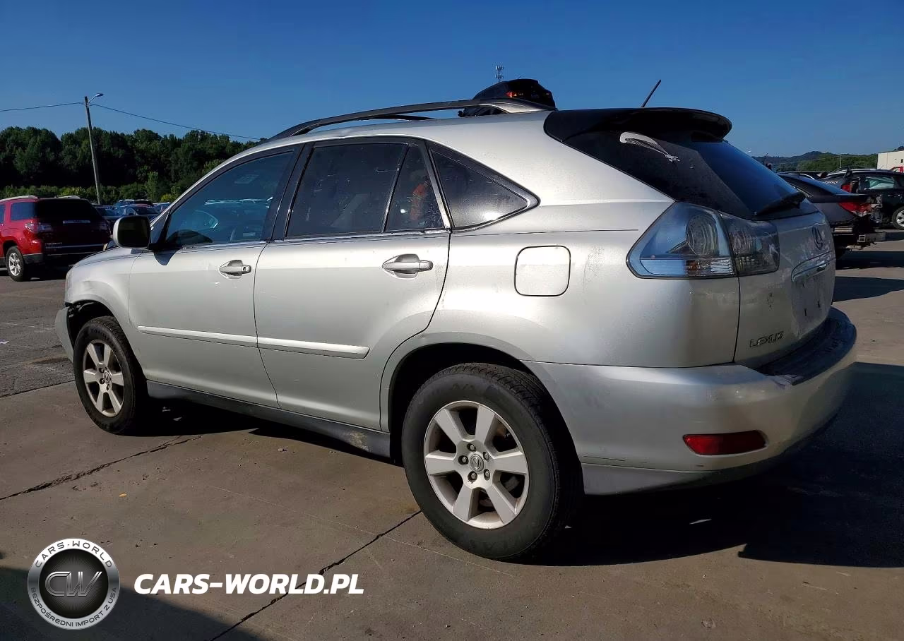 2004 Lexus Rx 330 VIN:2T2HA31U94C020919 - 2