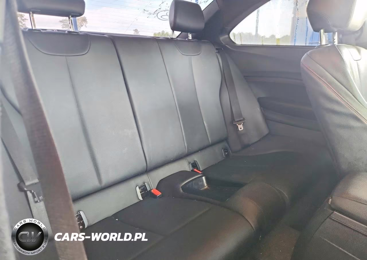 2014 BMW 228 I VIN:WBA1F5C58EVV99793 - 10