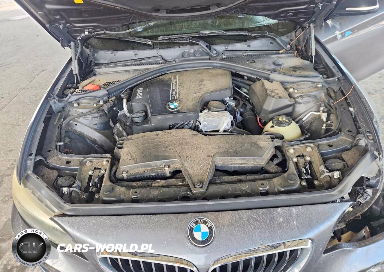 2014 BMW 228 I VIN:WBA1F5C58EVV99793 - 11