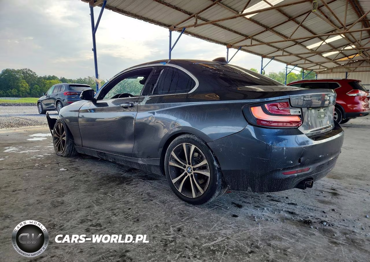 2014 BMW 228 I VIN:WBA1F5C58EVV99793 - 2