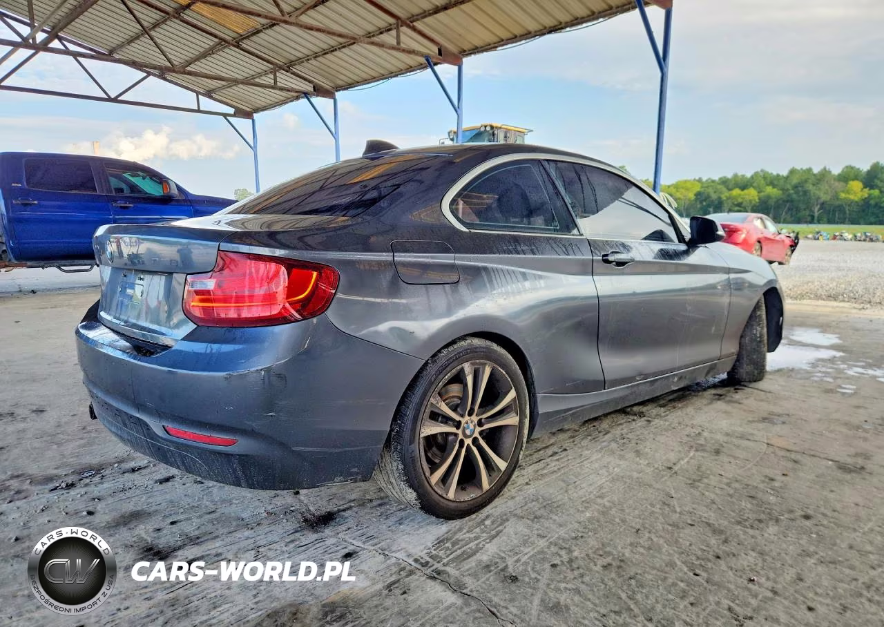 2014 BMW 228 I VIN:WBA1F5C58EVV99793 - 3