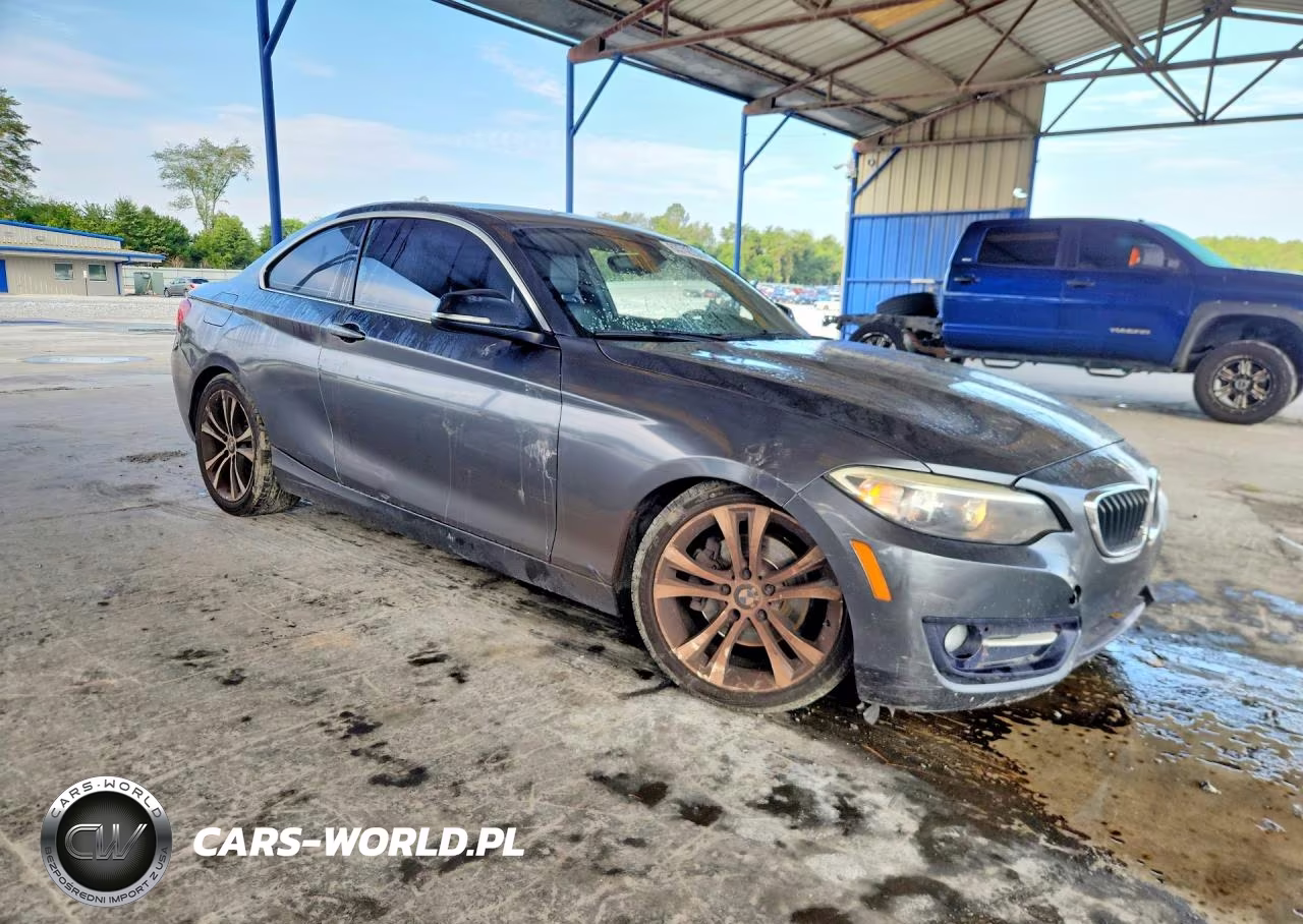 2014 BMW 228 I VIN:WBA1F5C58EVV99793 - 4