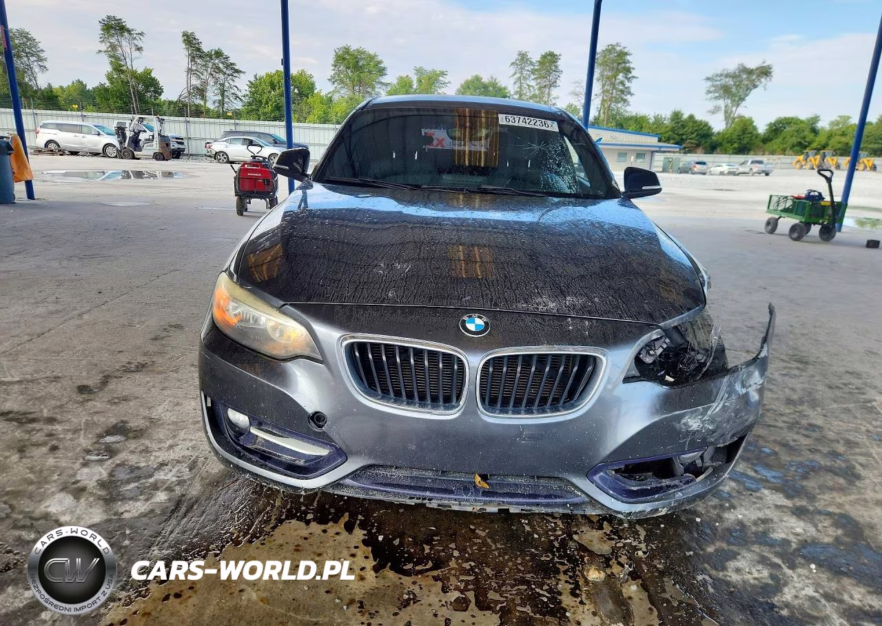 2014 BMW 228 I VIN:WBA1F5C58EVV99793 - 5