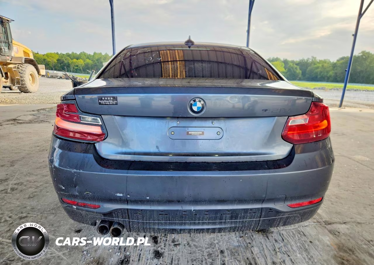 2014 BMW 228 I VIN:WBA1F5C58EVV99793 - 6