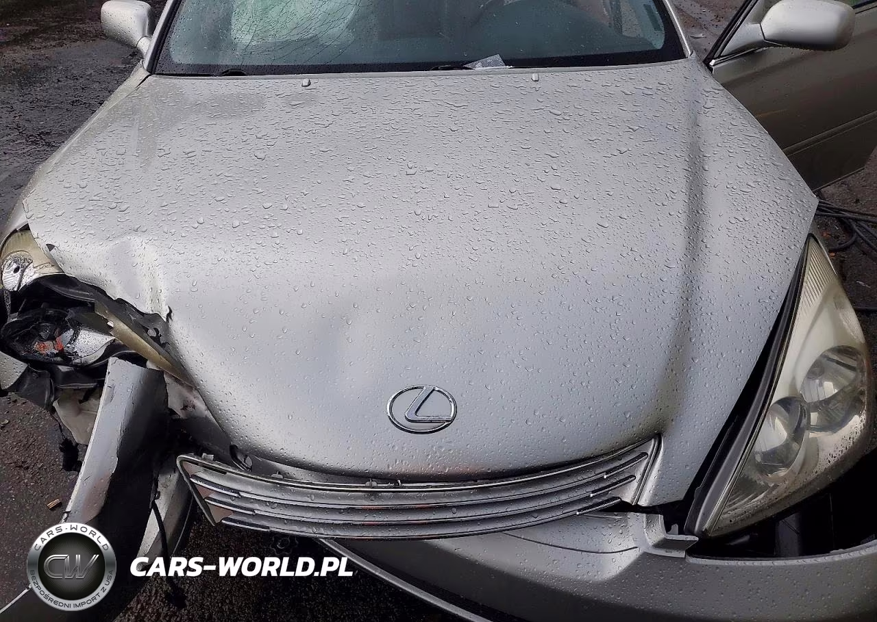 2002 Lexus Es 300 VIN:JTHBF30G820083023 - 11