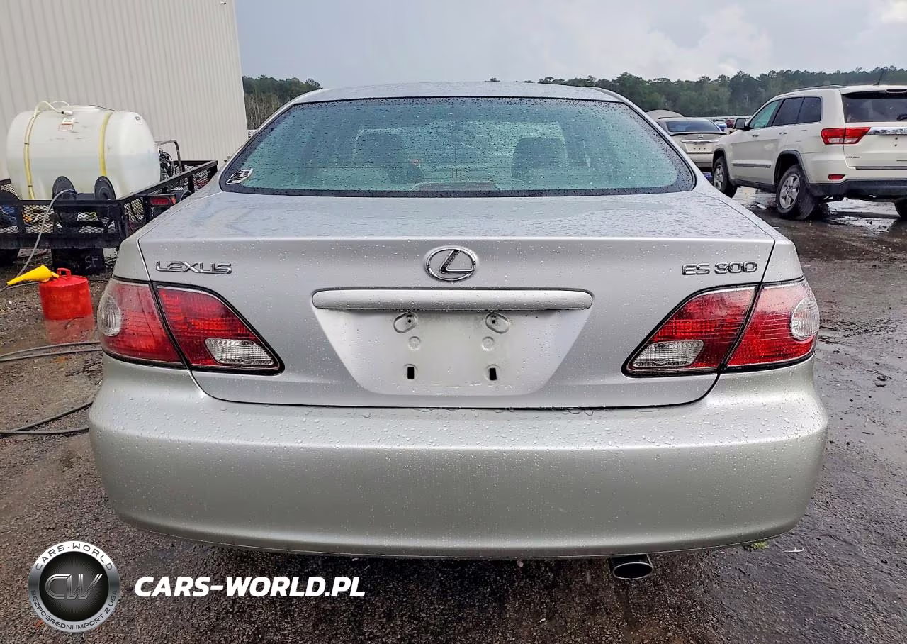 2002 Lexus Es 300 VIN:JTHBF30G820083023 - 6