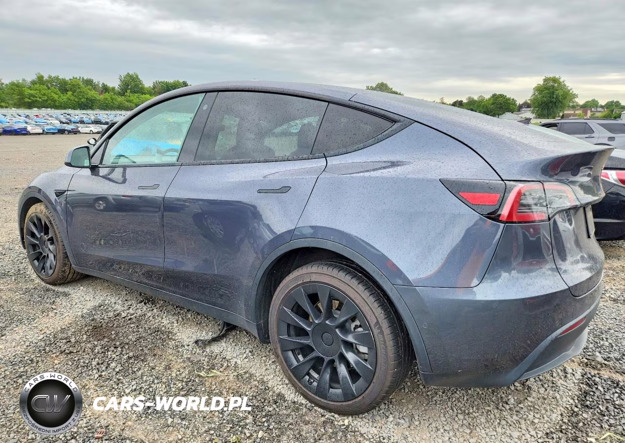 2022 Tesla Model Y VIN:7SAYGDEE4NF338751 - 2