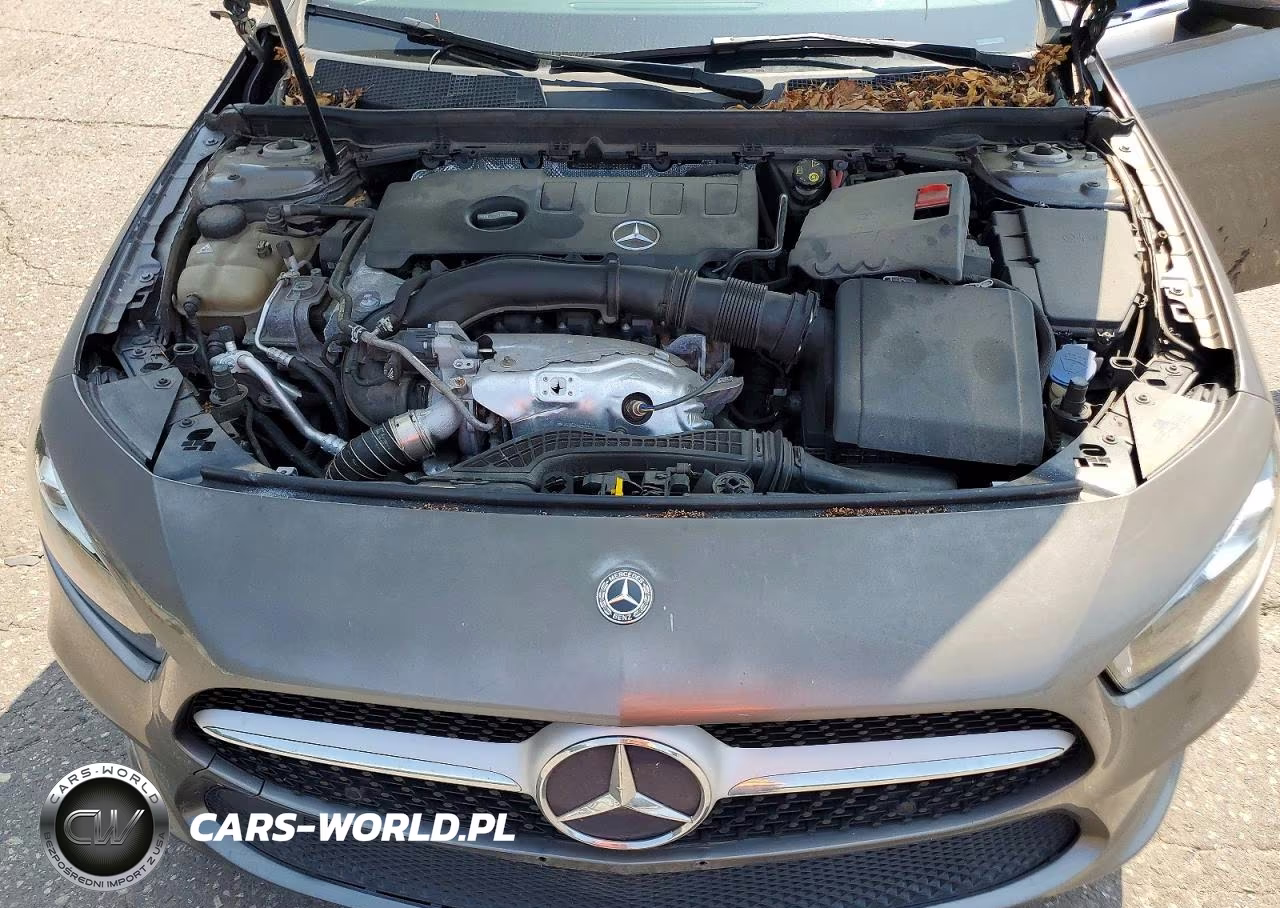 2019 Mercedes-Benz A 220 4Matic VIN:WDD3G4FB6KW028867 - 11