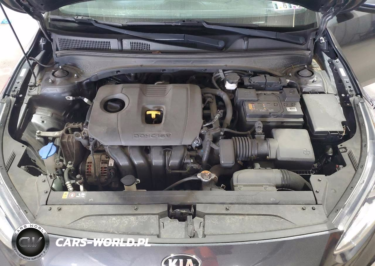 2021 Kia Forte Fe VIN:3KPF24AD1ME305338 - 11
