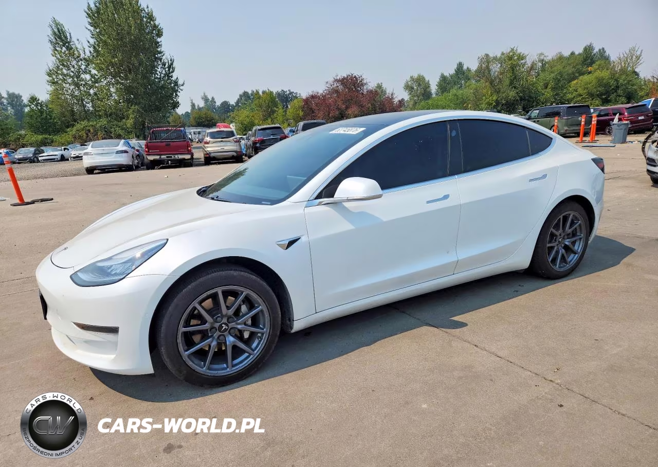 2020 Tesla Model 3 VIN:5YJ3E1EA8LF703227 - 1
