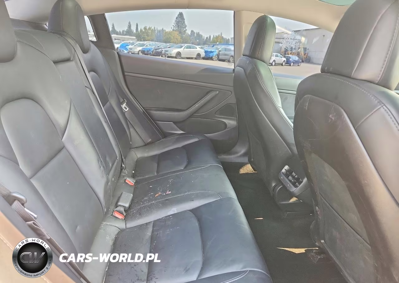 2020 Tesla Model 3 VIN:5YJ3E1EA8LF703227 - 10