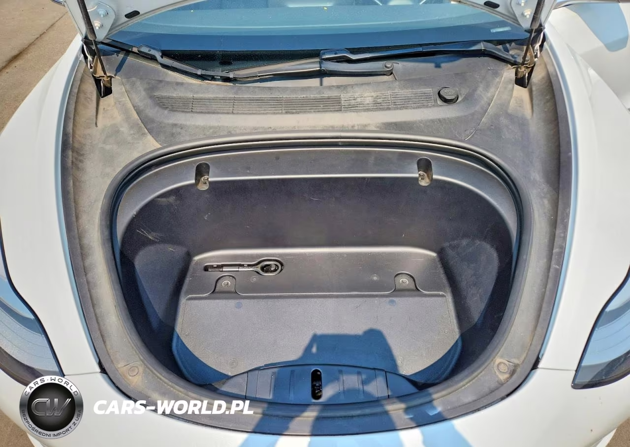 2020 Tesla Model 3 VIN:5YJ3E1EA8LF703227 - 11