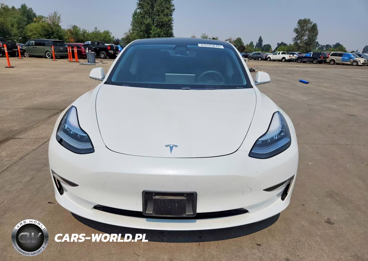 2020 Tesla Model 3 VIN:5YJ3E1EA8LF703227 - 5