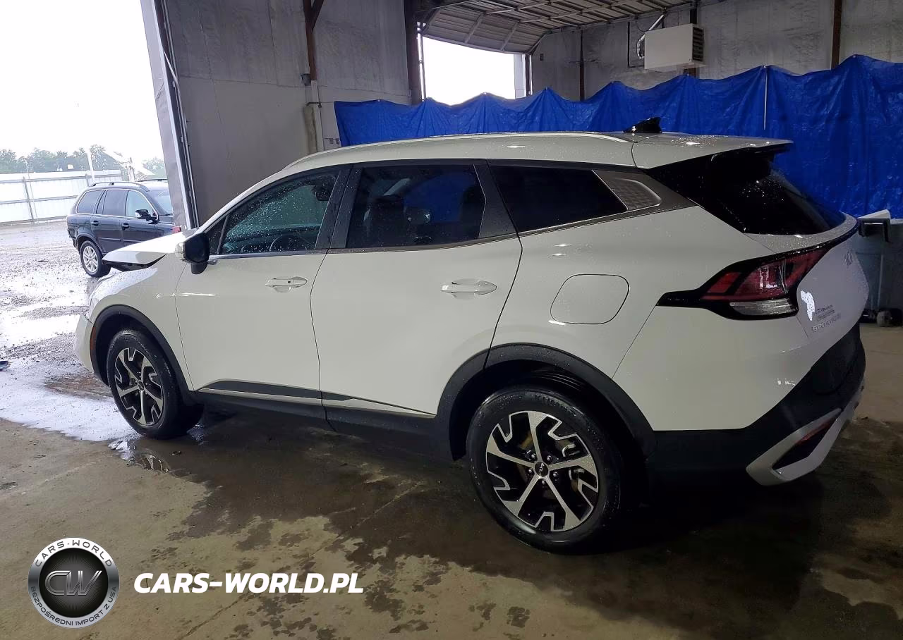 2024 Kia Sportage Ex VIN:5XYK3CDF0RG146373 - 2
