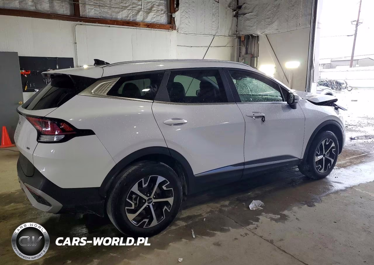 2024 Kia Sportage Ex VIN:5XYK3CDF0RG146373 - 3