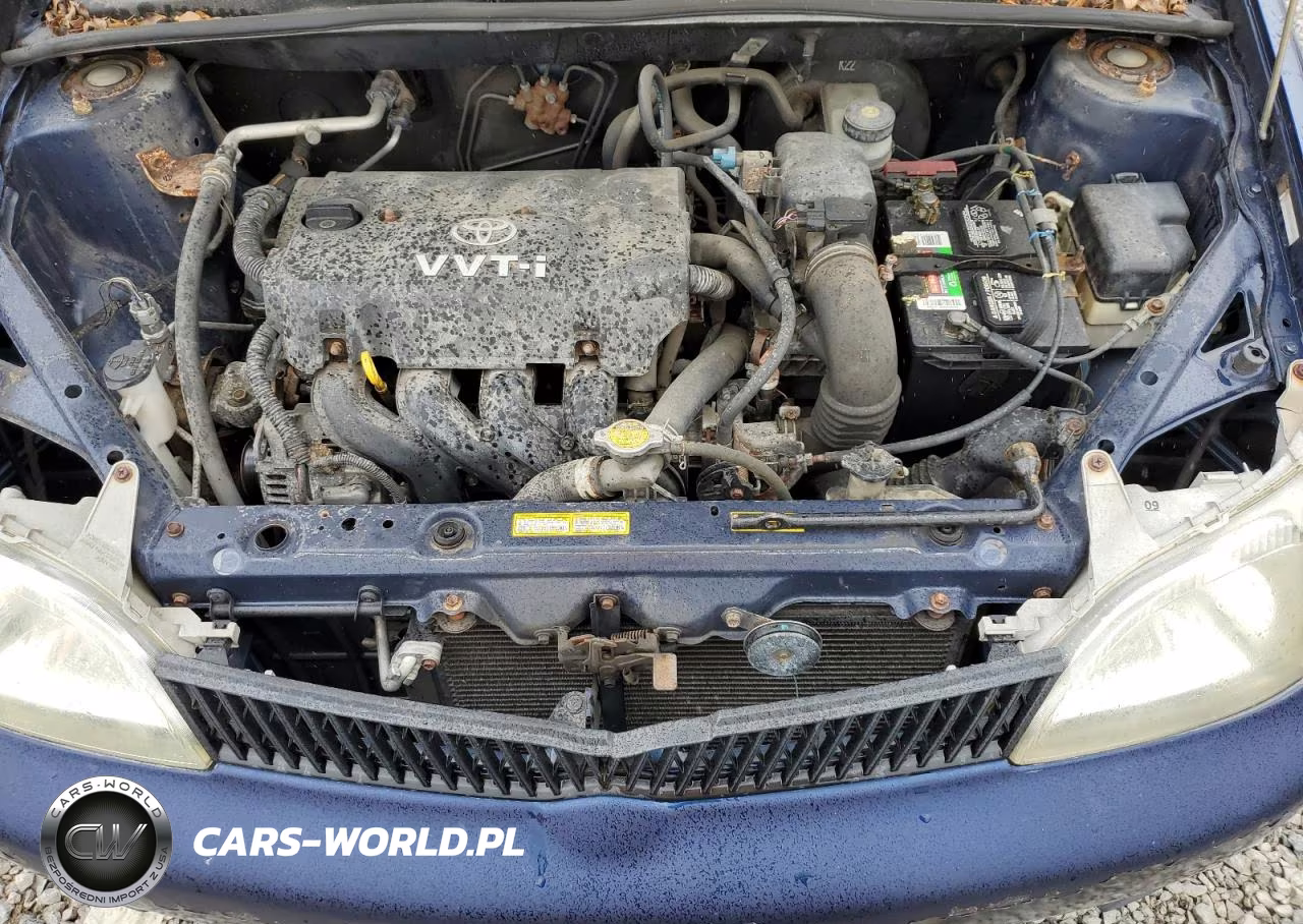 2001 Toyota Echo VIN:JTDBT123910163504 - 11