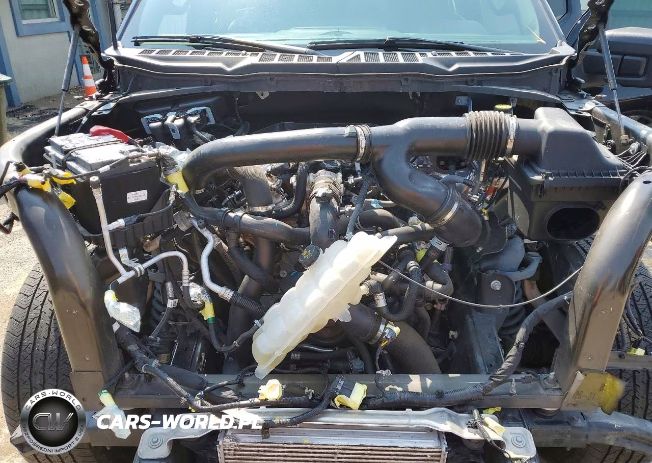 2024 Ford F150 VIN:1FTFW3L87RFB61029 - 11