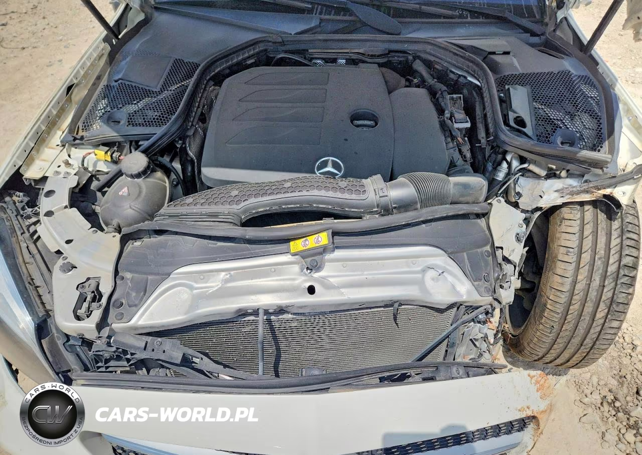 2020 Mercedes-Benz C 300 VIN:WDDWJ8DB8LF959008 - 11