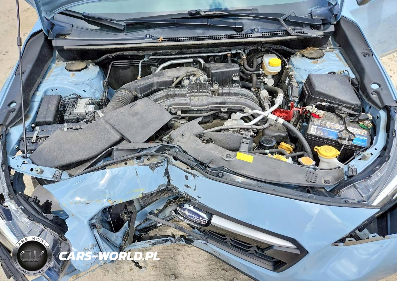 2019 Subaru Crosstrek Premium VIN:JF2GTACC2KG264642 - 12