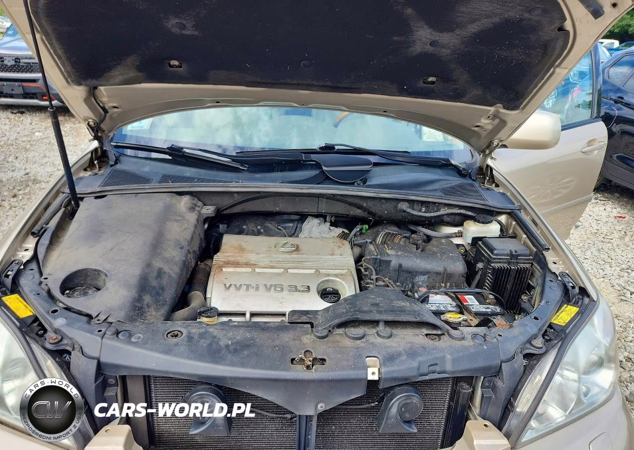 2005 Lexus Rx 330 VIN:2T2HA31U65C047996 - 11