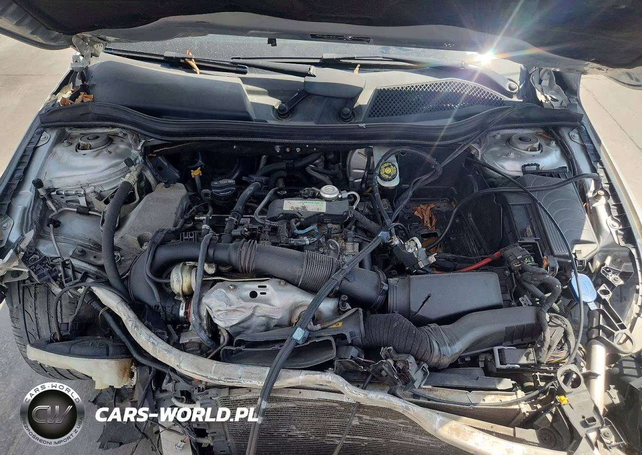 2018 Mercedes-Benz Cla 250 VIN:WDDSJ4EB1JN544699 - 11