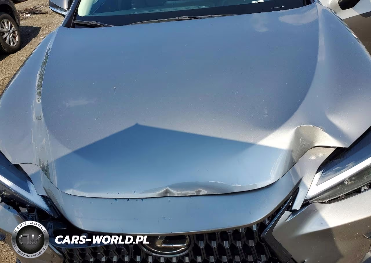 2025 Lexus Nx 350 Base VIN:2T2AGCEZ8SC083609 - 12