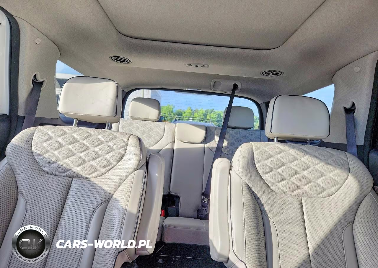 2021 Hyundai Palisade Limited VIN:KM8R5DHE3MU293077 - 10