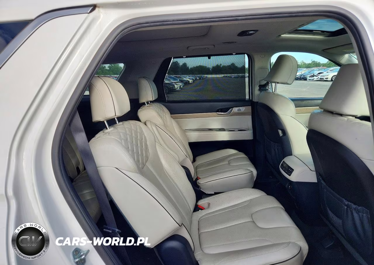 2021 Hyundai Palisade Limited VIN:KM8R5DHE3MU293077 - 11