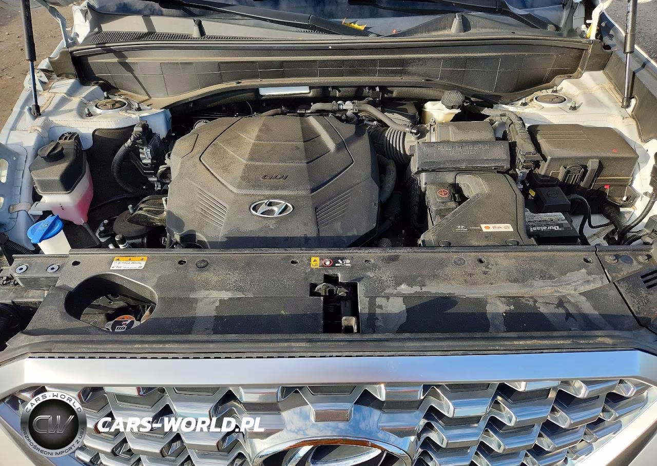 2021 Hyundai Palisade Limited VIN:KM8R5DHE3MU293077 - 12