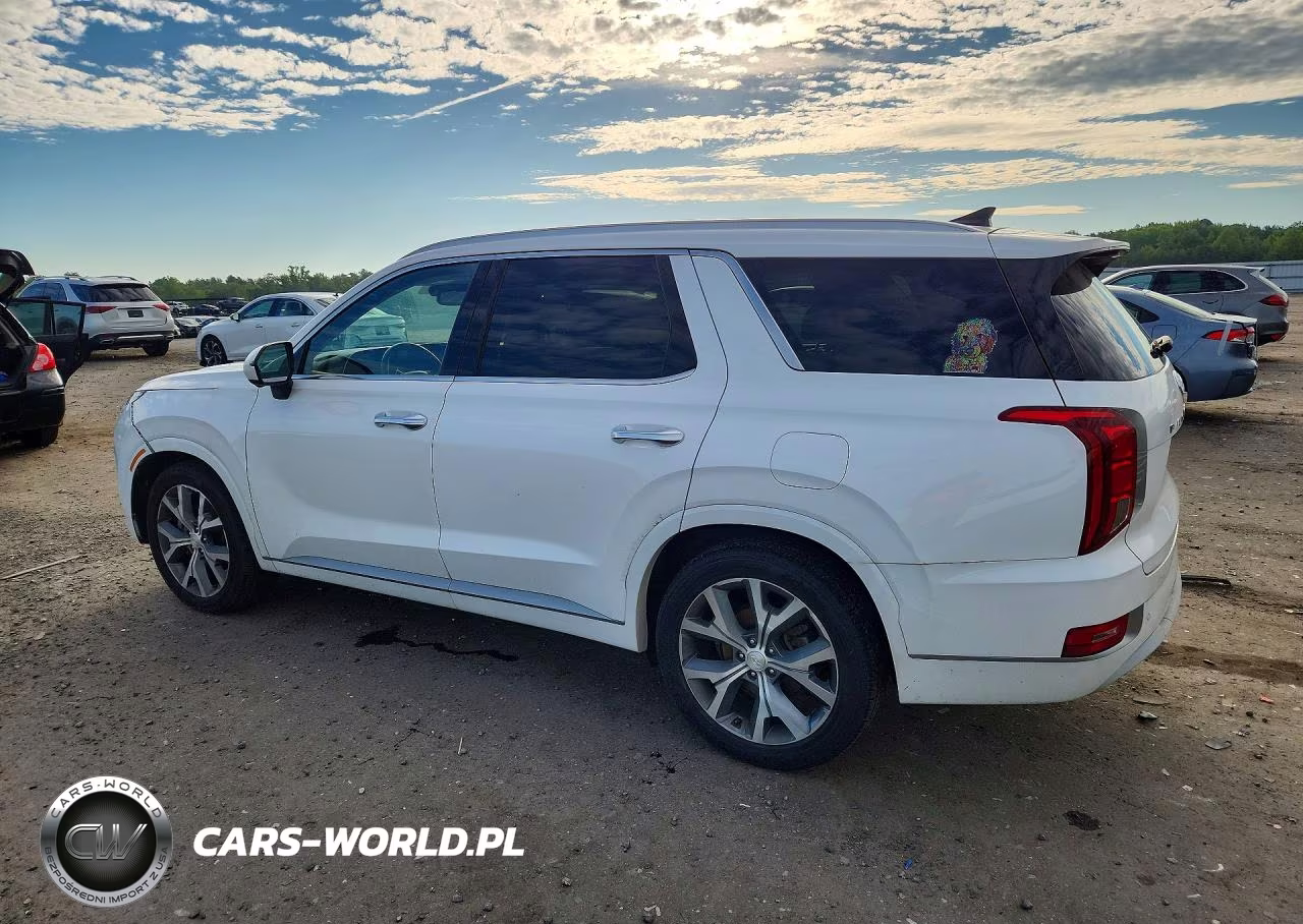 2021 Hyundai Palisade Limited VIN:KM8R5DHE3MU293077 - 2
