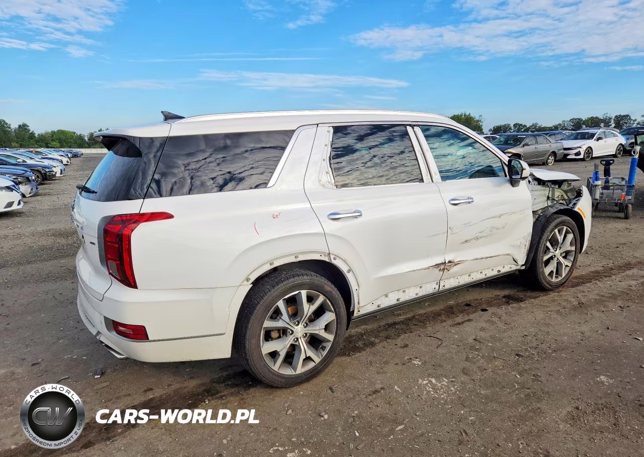 2021 Hyundai Palisade Limited VIN:KM8R5DHE3MU293077 - 3