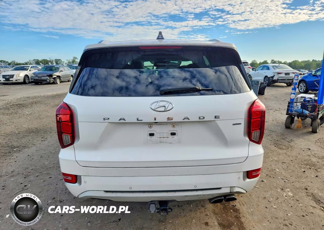 2021 Hyundai Palisade Limited VIN:KM8R5DHE3MU293077 - 6