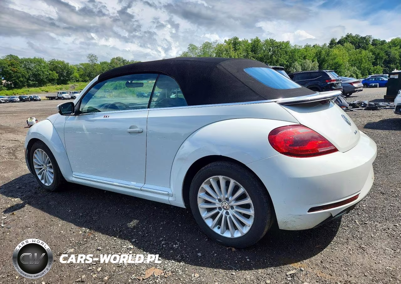 2019 Volkswagen Beetle S VIN:3VW5DAAT0KM510354 - 2