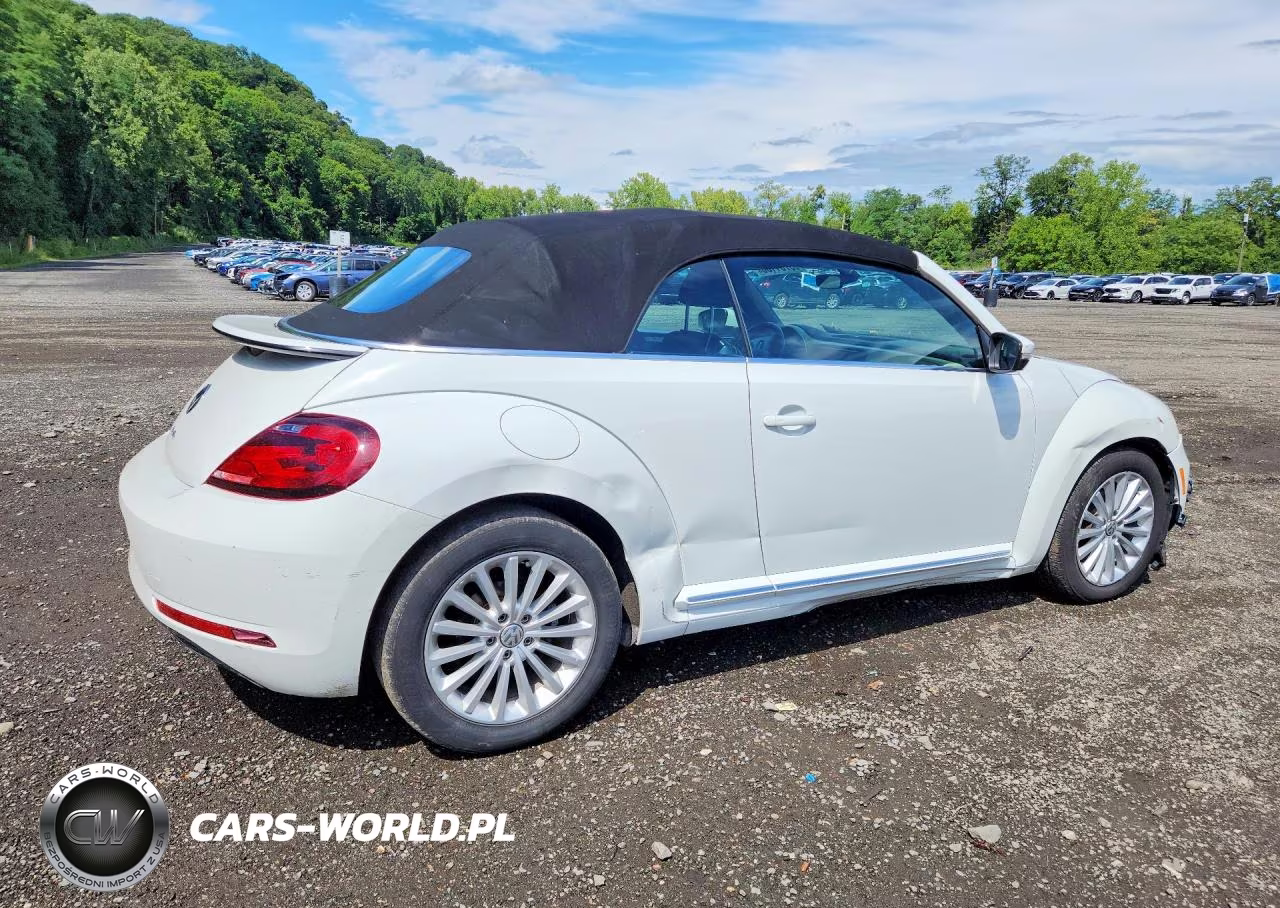 2019 Volkswagen Beetle S VIN:3VW5DAAT0KM510354 - 3
