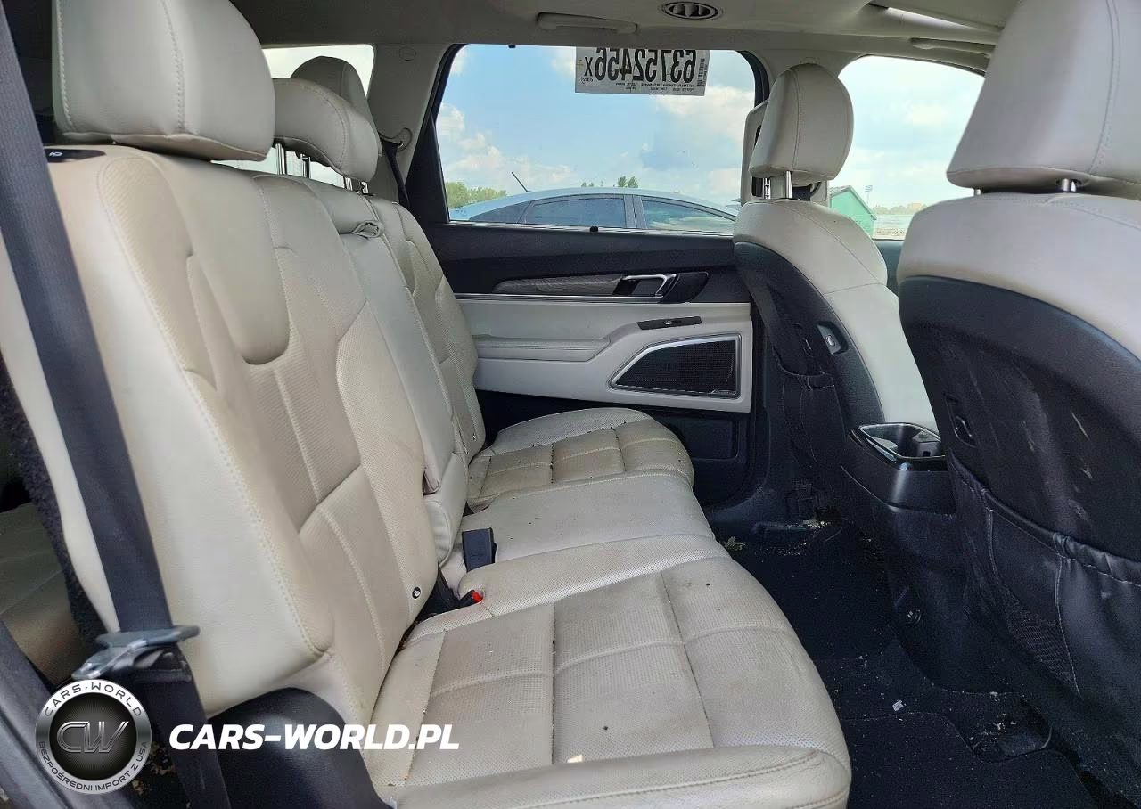 2020 Kia Telluride Ex VIN:5XYP3DHC8LG008924 - 11