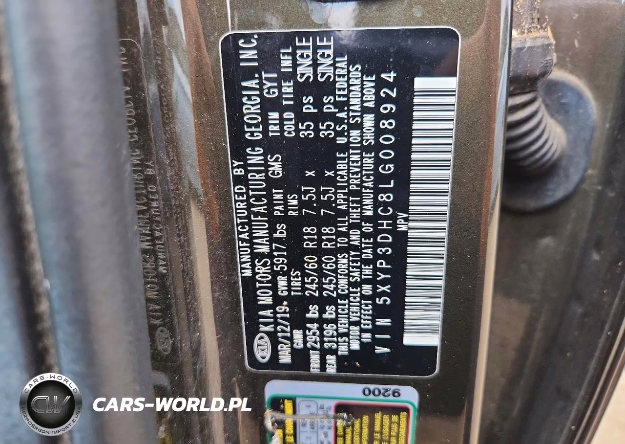 2020 Kia Telluride Ex VIN:5XYP3DHC8LG008924 - 13