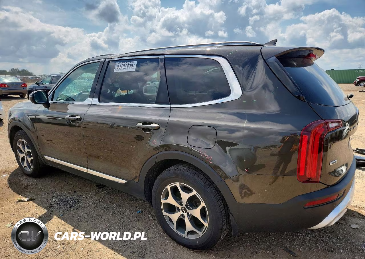 2020 Kia Telluride Ex VIN:5XYP3DHC8LG008924 - 2