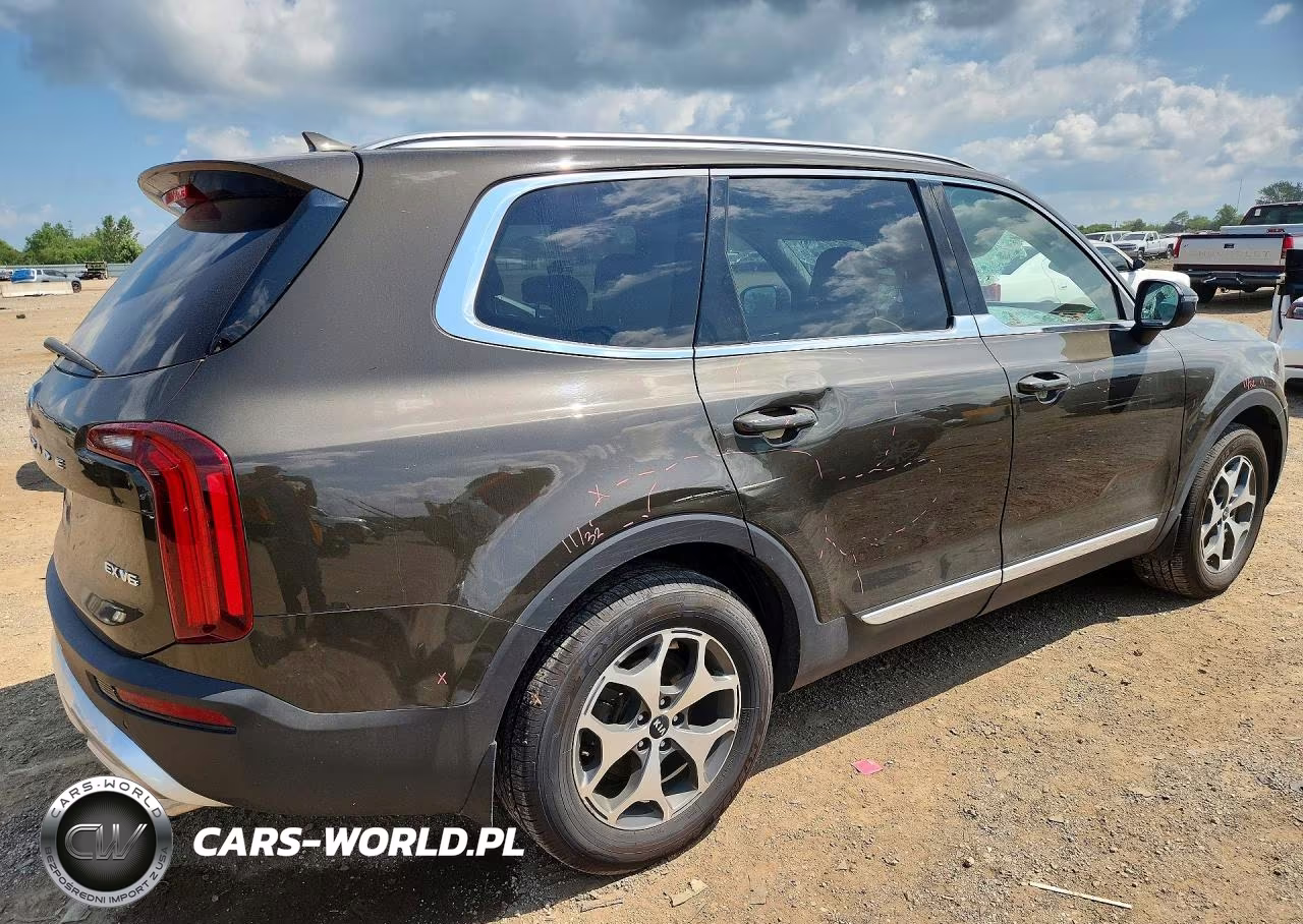 2020 Kia Telluride Ex VIN:5XYP3DHC8LG008924 - 3